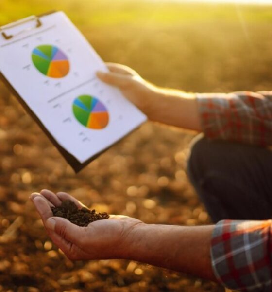 Informe de la Bolsa de Bahía Blanca: desafíos logísticos y costos en la siembra de gruesa 2025/2026