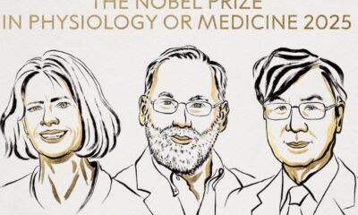 Premio Nobel 2025: Descubrimientos en Tolerancia Inmunitaria Revolucionan la Medicina