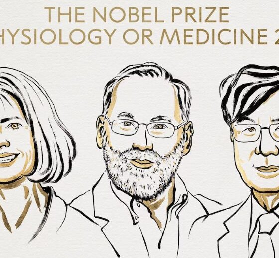 Premio Nobel 2025: Descubrimientos en Tolerancia Inmunitaria Revolucionan la Medicina