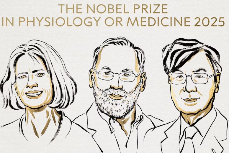 Premio Nobel 2025: Descubrimientos en Tolerancia Inmunitaria Revolucionan la Medicina