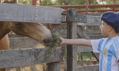 Último día de la Expo Rural de Bordeu: ¡No te pierdas el remate de reproductores a cargo de Productores Rurales del Sud!