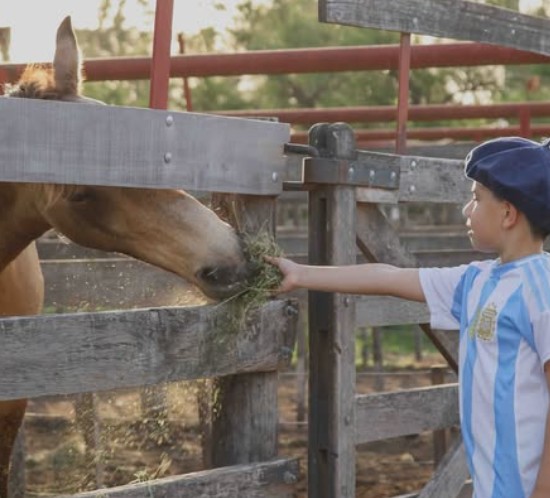 Último día de la Expo Rural de Bordeu: ¡No te pierdas el remate de reproductores a cargo de Productores Rurales del Sud!