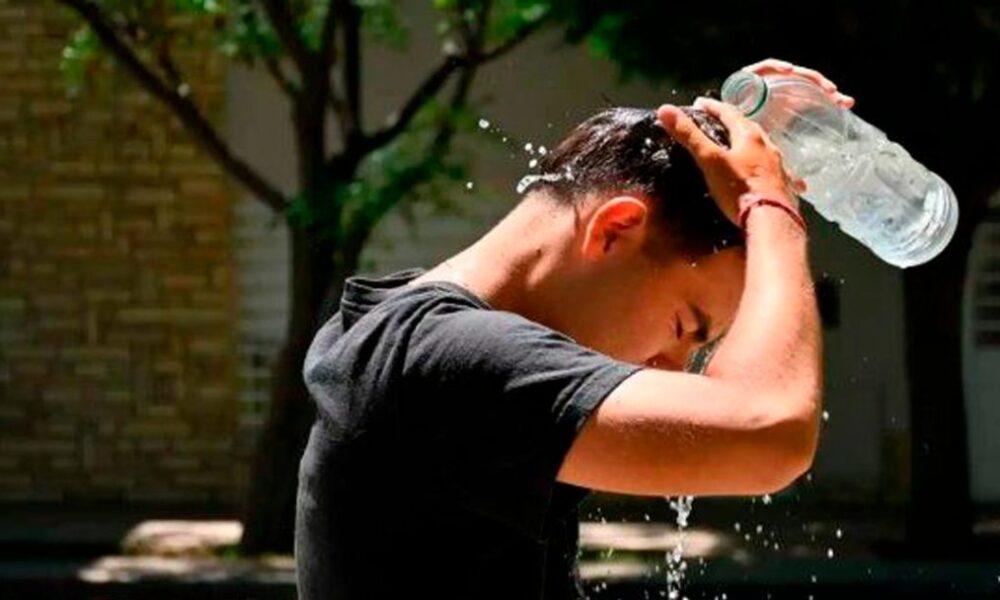 Calor sofocante y posibilidades de lluvia por la tarde en Bahía Blanca