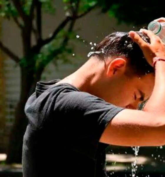 Calor sofocante y posibilidades de lluvia por la tarde en Bahía Blanca
