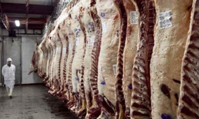 Actualidad de la industria frigorifica en el sudoeste bonaerense y sus oportunidades