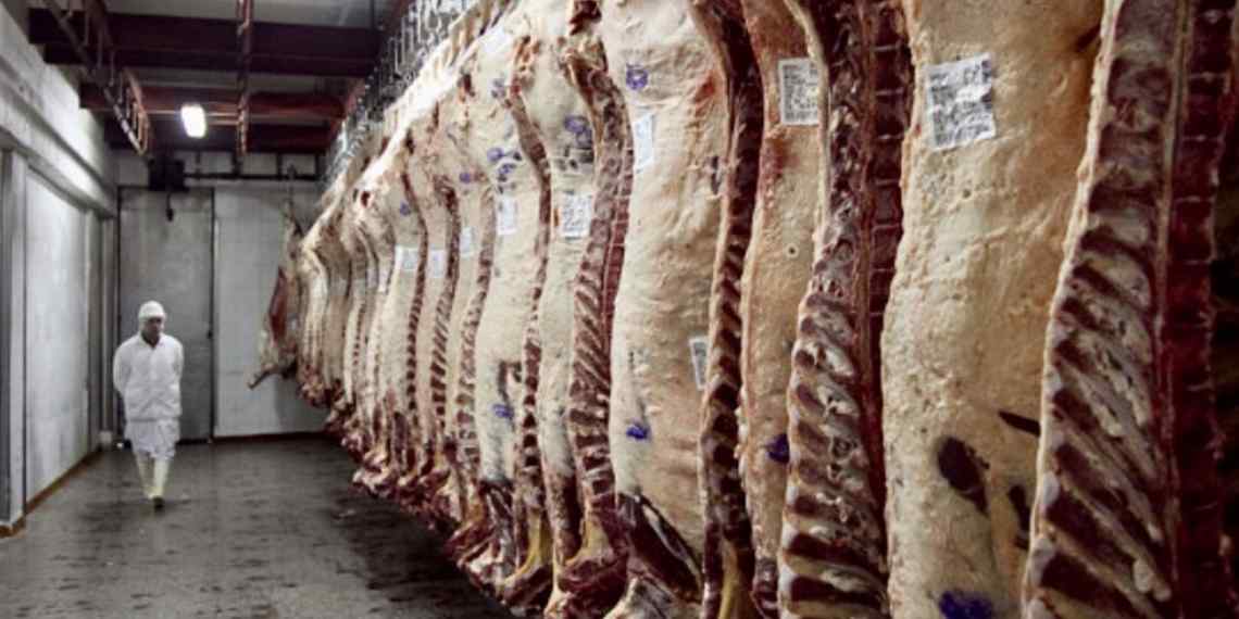 Actualidad de la industria frigorifica en el sudoeste bonaerense y sus oportunidades