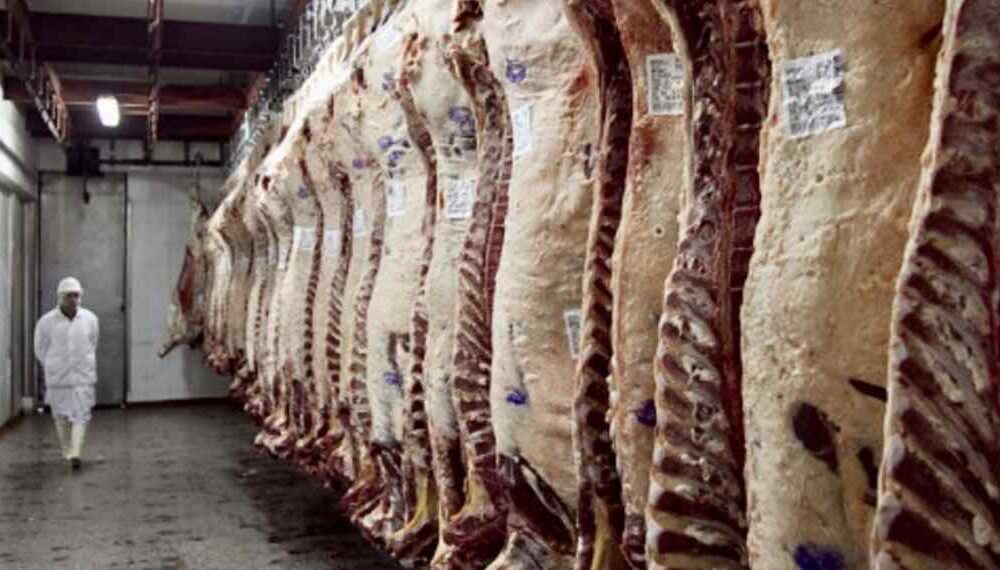 Actualidad de la industria frigorifica en el sudoeste bonaerense y sus oportunidades