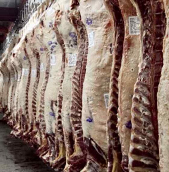 Actualidad de la industria frigorifica en el sudoeste bonaerense y sus oportunidades