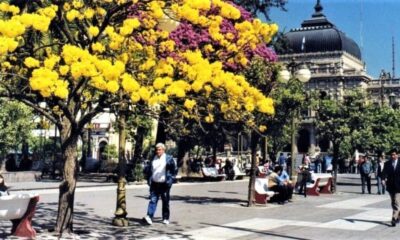 Las mejores ciudades de Argentina para vivir según el indice de la UBA