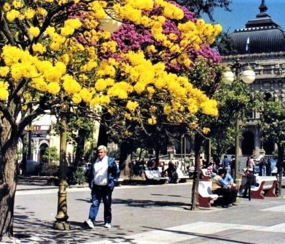 Las mejores ciudades de Argentina para vivir según el indice de la UBA