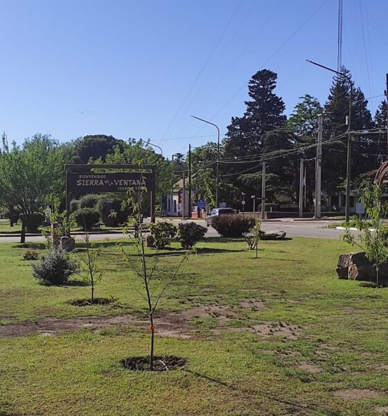 Semana con temperaturas en ascenso en Sierra de la Ventana: Ola de calor a la vista