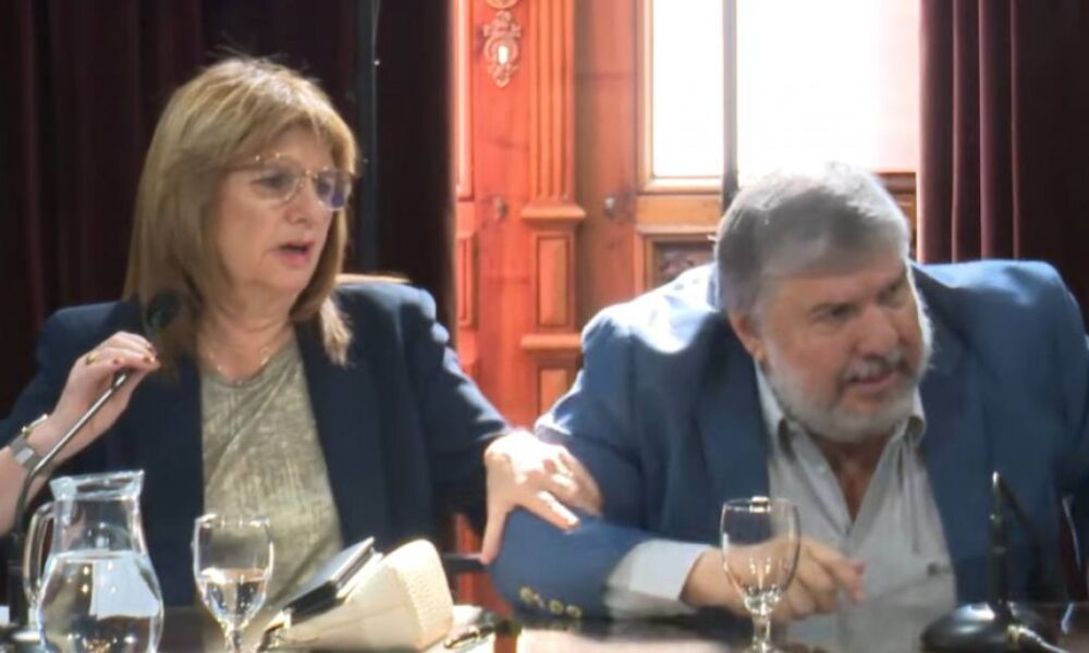 Escándalo entre Mayans y Patricia en el Senado: "hacen lo que se les cantan las pelotas"