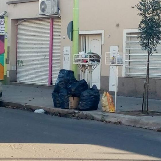 Cinco camiones fuera de servicio complicaron la recolección de residuos en Bahía Blanca