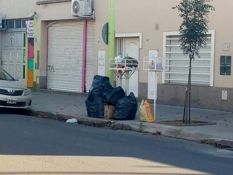 Cinco camiones fuera de servicio complicaron la recolección de residuos en Bahía Blanca