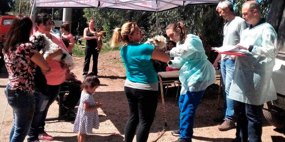 Realizacion de las dos ultimas jornadas de castracion gratuita de mascotas