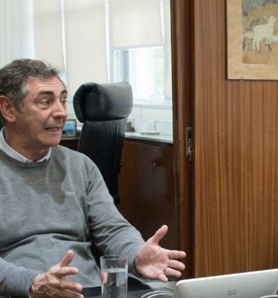 En pleno colapso de las rutas nacionales en Jujuy, el Gobierno puso en Vialidad a un pediatra que elabora cerveza artesanal