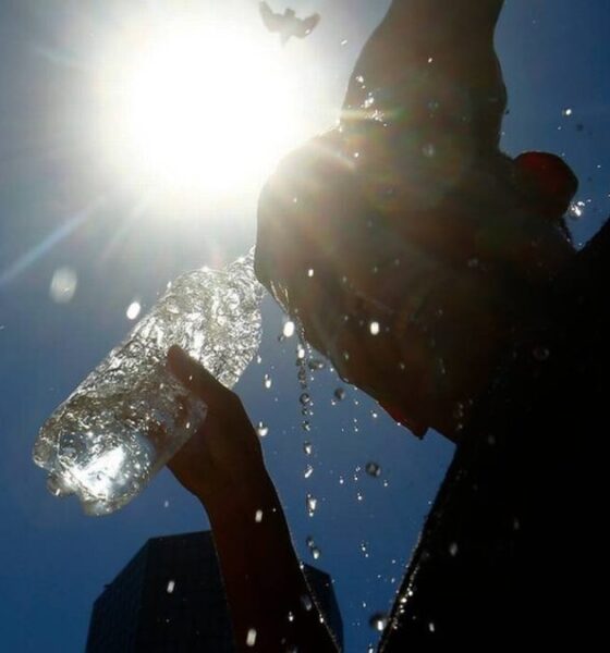 Bahía Blanca y ciudades cercanas esperan temperaturas más altas que el promedio este verano