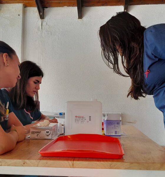 Testeo de HIV gratuito en el Día Mundial de la Lucha contra el SIDA