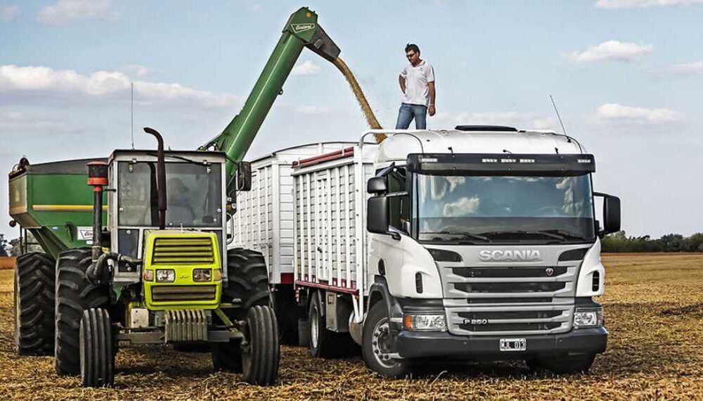 Seminario online sobre transporte de granos documentación normativa y procedimientos