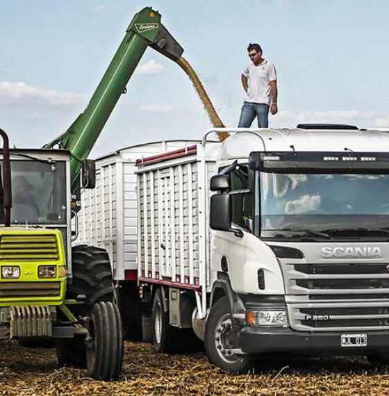 Seminario online sobre transporte de granos documentación normativa y procedimientos