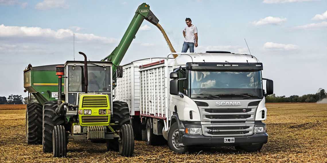 Seminario online sobre transporte de granos documentación normativa y procedimientos