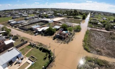 Lo más buscado por los argentinos en Google durante 2025 personas y eventos