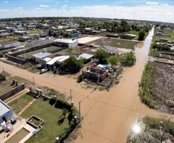 Lo más buscado por los argentinos en Google durante 2025 personas y eventos