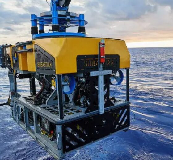 IADO participa en la campaña del Falkor para estudiar ecosistemas del Mar Argentino