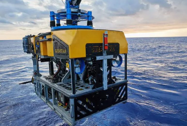 IADO participa en la campaña del Falkor para estudiar ecosistemas del Mar Argentino