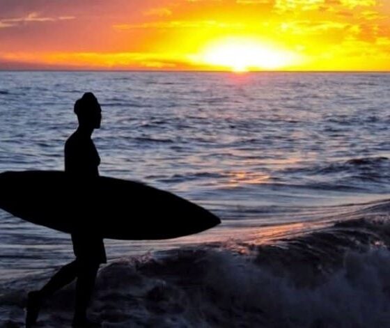 Informe sobre la situación climática y pronósticos para diciembre 2023