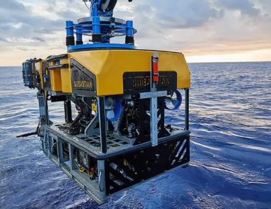 Viaje al fondo del mar explorando ecosistemas únicos del metano en el Mar Argentino