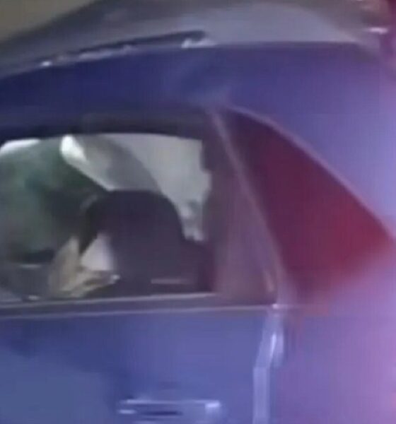 La UPSO saludó a las dos bahienses fallecidas en el Cóndor: “Acompañó con vocación y dedicación la tarea de enseñar”, dio sobre Lorena Salguero