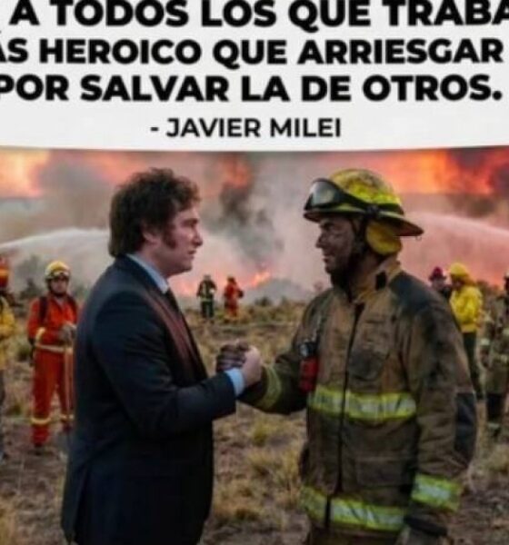 Milei agradece a los bomberos de la Patagonia, pero les redujo el presupuesto en un 78%