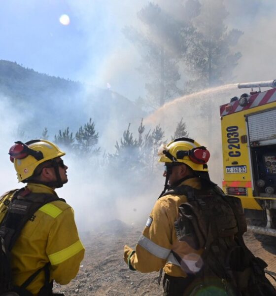 El fiscal desmiente al gobierno y descarta que grupos mapuches hayan provocado los incendios