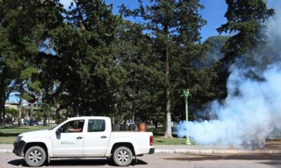 Cronograma de fumigación