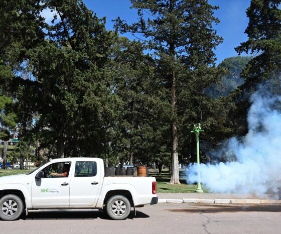 Cronograma de fumigación