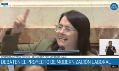 Una senadora libertaria lamentó no “haber ido mucho más allá” con la reforma laboral