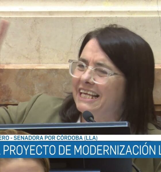 Una senadora libertaria lamentó no “haber ido mucho más allá” con la reforma laboral