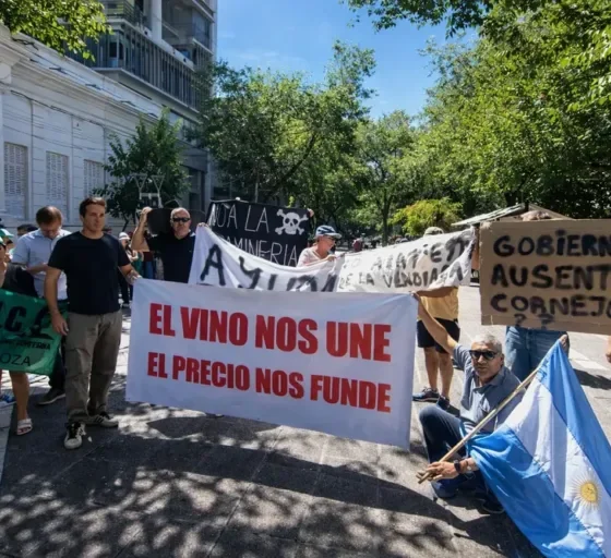 “La situación del productor vitivinícola es crítica”