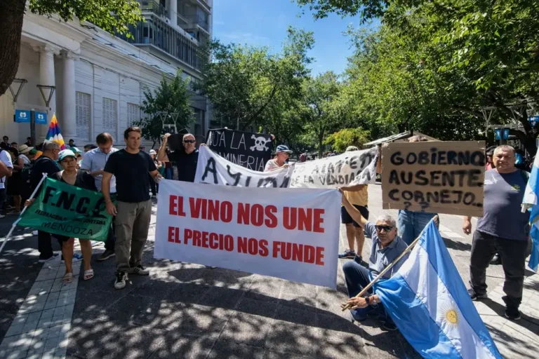 “La situación del productor vitivinícola es crítica”