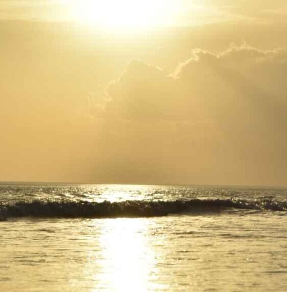 El mar hace bien. ¿Solo una percepción, o una experiencia comprobada científicamente? Qué dicen los especialistas