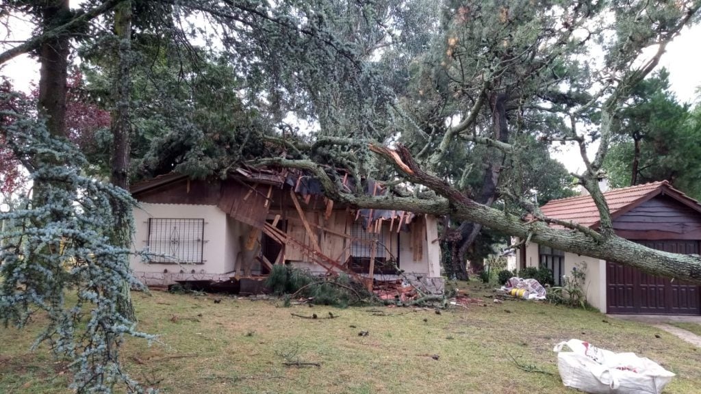 Temporal en Sierra de la Ventana derribó arboles: “Fue terrible, como si se tratara de la cola de un tornado”