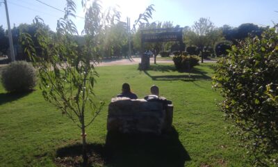 Pronóstico del Tiempo: Sierra de la Ventana y Comarca con jornada marcada por el sol desde el amanecer