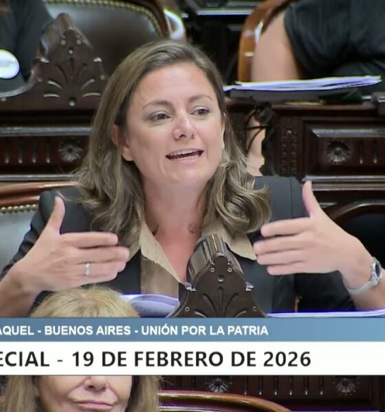 "A esta ley también la está atravesando una Banelco", dijo diputada sobre la reforma laboral