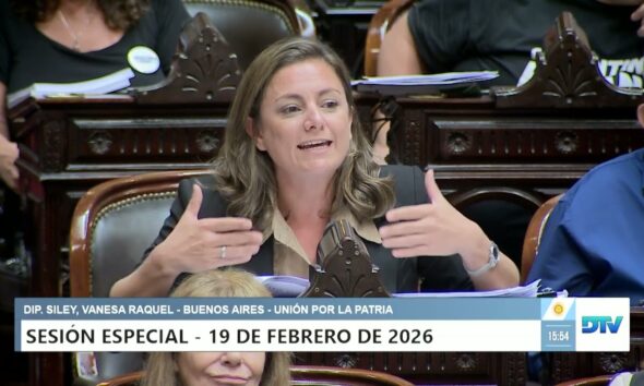 "A esta ley también la está atravesando una Banelco", dijo diputada sobre la reforma laboral