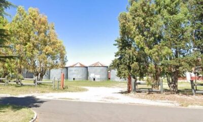 Fallo: lo condenan a pagar una multa porque su perro atacó a una llama