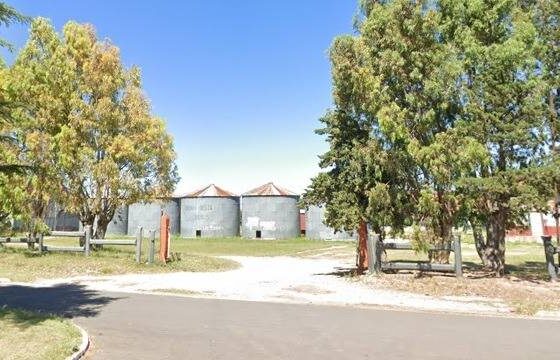 Fallo: lo condenan a pagar una multa porque su perro atacó a una llama