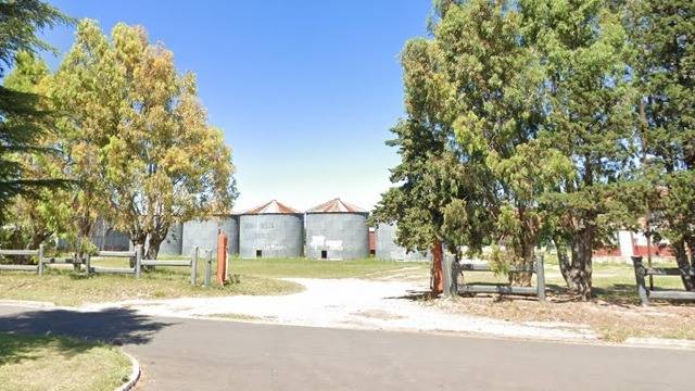 Fallo: lo condenan a pagar una multa porque su perro atacó a una llama