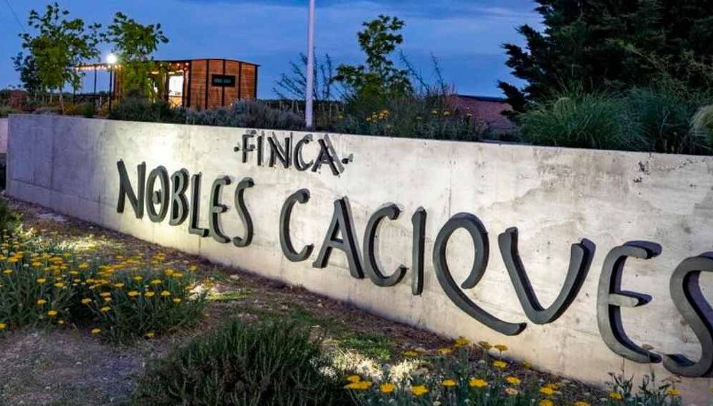 Nobles Caciques fue distinguida en España por la calidad de sus aceites de oliva