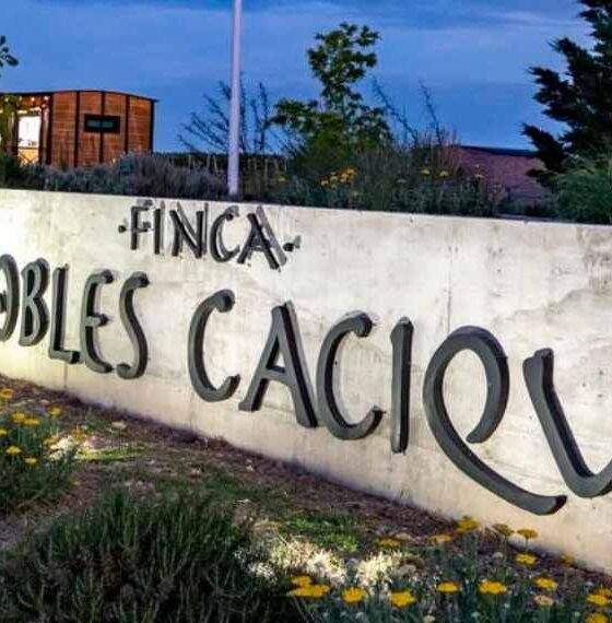 Nobles Caciques fue distinguida en España por la calidad de sus aceites de oliva